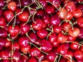 Cherry background Royalty Free Stock Photo