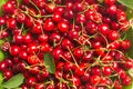 Cherry Background. Organic cherries Royalty Free Stock Photo