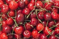 Cherry Royalty Free Stock Photo