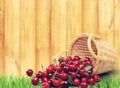 Cherry Basket