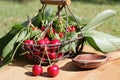Fresh cherries in basket on the wooden Royalty Free Stock Photo