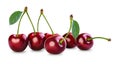 cherry Royalty Free Stock Photo