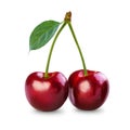 cherry Royalty Free Stock Photo