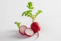 Cherry Belle Radish