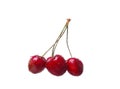 Cherry berries isolated on white background cutou Royalty Free Stock Photo