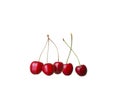 cherry berries isolated on white background Royalty Free Stock Photo