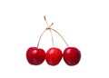 Cherry berries isolated on white background cutou Royalty Free Stock Photo