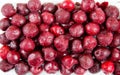 Cherry berries are quick-frozen dark red with white frost, useful products