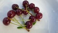 Cherry berries on a white porcelain plate