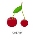 Cherry berry flat icon isolated on white background. Healthy fruit. Berries with stems and green leaves. Eco delicious Royalty Free Stock Photo