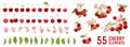 Cherry berry fruits, flowers, leaves vector watercolor element illustration. Set of whole, cut in half, sliced on pieces