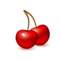 Vector realistic cherry berry fruit 3d isolated