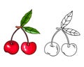 Cherry in black outline and colorful drawing. Cherry image for color books.