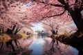 Cherry blossom above a river in Japanese style with soft focus background