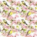 Cherry Blossom - Apple, Sakura Flowers, Birds. Floral Seamless Pattern. Watercolor