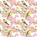 Cherry blossom - apple, sakura flowers, cute birds. Floral seamless background. Watercolor Royalty Free Stock Photo