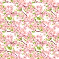 Cherry blossom - apple, sakura flowers. Floral seamless pattern. Watercolor Royalty Free Stock Photo