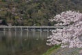 Cherry blossom, Arashiyama in spring,Kyoto, Japan Royalty Free Stock Photo