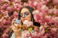 Cherry blossom aroma. Female perfume. Spring perfume. Fancy style. Aromatic compounds. Tenderness. Give pleasant scent Royalty Free Stock Photo