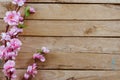 Cherry blossom and Artificial flowers on vintage wooden background with copy space Royalty Free Stock Photo