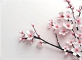 Cherry blossom on background with copy space for your text.