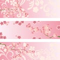 Cherry blossom banner set Royalty Free Stock Photo