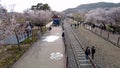 Cherry blossom blooming in gyeonghwa train station in jinhae, Changwon, Gyeongnam, South Korea, Asia