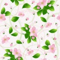 Pink flowers of cherry or apple with green leaves on a light background. natural seamless pattern. Spring pattern.Vector Royalty Free Stock Photo