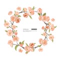 Cherry Blossom Border, Realistic Spring Flowers, Leaves and Branch Round Frame on White Background. Design Element Royalty Free Stock Photo