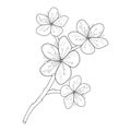 cherry blossom branch drawing,realistic cherry blossom branch drawing, easy cherry blossom drawing, cute easy cherry blossom