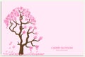 Cherry blossom branch, flower petal illustration Royalty Free Stock Photo