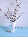 Cherry blossom branch natural decor beautiful in a vase on a colored wooden background, spring, Royalty Free Stock Photo