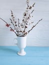 Cherry blossom branch table vintage beautiful in a vase on a colored wooden background, spring, Royalty Free Stock Photo