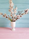 Cherry blossom branch leaves vintage beautiful in a vase on a colored wooden background, spring, Royalty Free Stock Photo