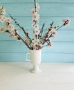 Cherry blossom branch floral decorative beautiful in a vase on a colored wooden background, spring,bouquet Royalty Free Stock Photo