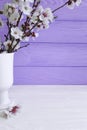 Cherry blossom branch in a vase on a colored wooden background, spring, Royalty Free Stock Photo