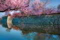 Cherry blossom.Canal around himeji castle in hyogo, Himeji-Jo Castle is famous travel spot in kansai area in Japan