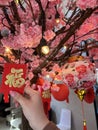 Cherry Blossom in Chinesse new year