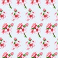 Cherry blossom composition in a seamless pattern design Royalty Free Stock Photo