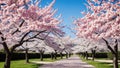 Cherry Blossom Delight A Sweet Celebration of National Cherry Popsicle Day.AI Generated Royalty Free Stock Photo