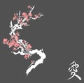 Cherry blossom event template with hand drawn branch with pink cherry flowers blooming. Sakura blossoming festival banner. Chinese Royalty Free Stock Photo