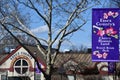 Cherry Blossom Festival at Branch Brook Park in Newark, New Jersey