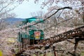 Cherry Blossom Festival at Funaoka Castle Ruin Park,Shibata,Miyagi,Tohoku,Japan on April12,2017:Slope car passing sakura tunnel Royalty Free Stock Photo