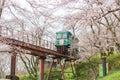 Cherry Blossom Festival at Funaoka Castle Ruin Park,Shibata,Miyagi,Tohoku,Japan on April12,2017:Slope car passing sakura tunnel Royalty Free Stock Photo