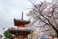 Cherry Blossom Festival at Kita-in Temple,Kosenbamachi,Kawagoe,Saitama,Japan on April9,2017:Two story pagodatahoto and beautiful