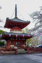 Cherry Blossom Festival at Kita-in Temple,Kosenbamachi,Kawagoe,Saitama,Japan on April9,2017:Two story pagodatahoto and beautiful