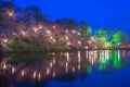 Cherry Blossom Festival in Takada Castle at night in Niigata, Japan