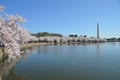 Cherry Blossom Festival. Washington, DC Royalty Free Stock Photo