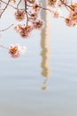 Cherry blossom festival with Washington memorial around the tidal basin Royalty Free Stock Photo