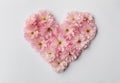 Cherry Blossom Flower Heart